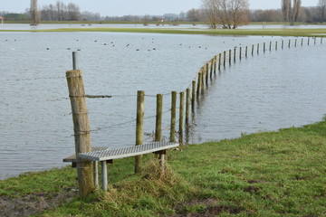 hoogwater in de uiterwaarden van de IJssel
