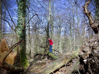 Naklejka premium woman with red jacket on a tree trunk at woodland