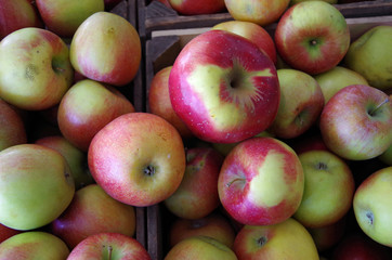 Apples in wooden crates