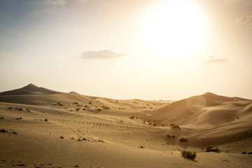 Fototapeta na wymiar Beautiful sunset in the Sahara desert. Sand dunes at sunset.