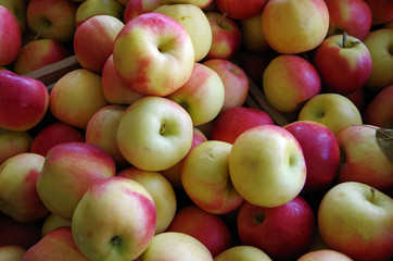 Apples in wooden crates