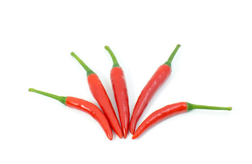 red chilli isolate on white back ground