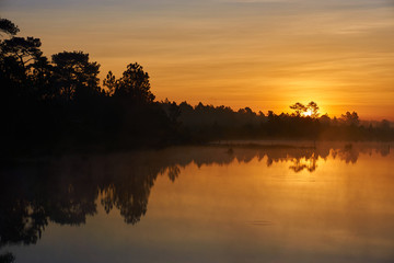 Reflection of forest in the morning sunrise. Beautiful landscape in morning twilight time. Picture with copy space.