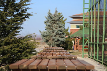 naturel, green, landscape, tree, garden