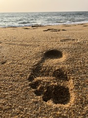 Foot print in the sand