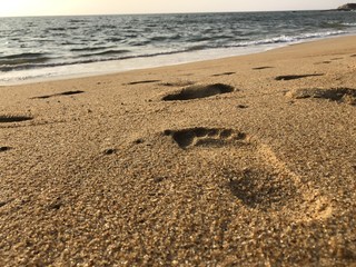 Foot print in the sand