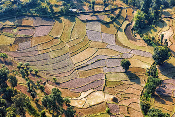 Landscape near Pokhara, Nepal, Seen from Paraglider