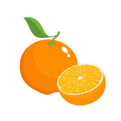 Bright vector set of colorful juicy orange.