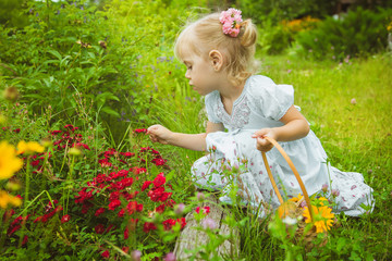 A little blonde caucasian child girl in light blue dress and roses in hair pick flowers in a meadow...