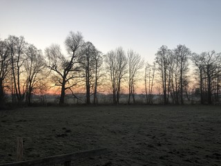 Sonnenaufgang in Brandenburg