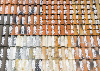 Roof tiles, samples of color for sale.