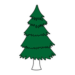 Tree pine isolated icon vector illustration graphic design