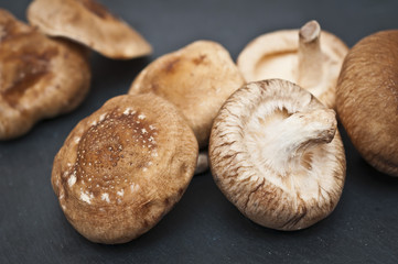 Shiitakepilze