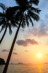 Palmen an einem tropischen Meeresstrand bei erstaunlichem Sonnenuntergang. © De Visu