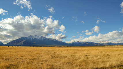 Fototapeta premium Fields Mountains