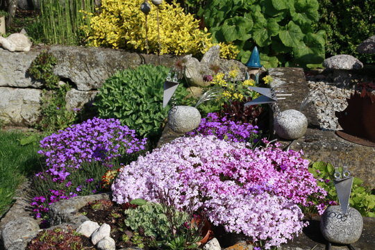 bunter steingarten im fr&uuml;hling