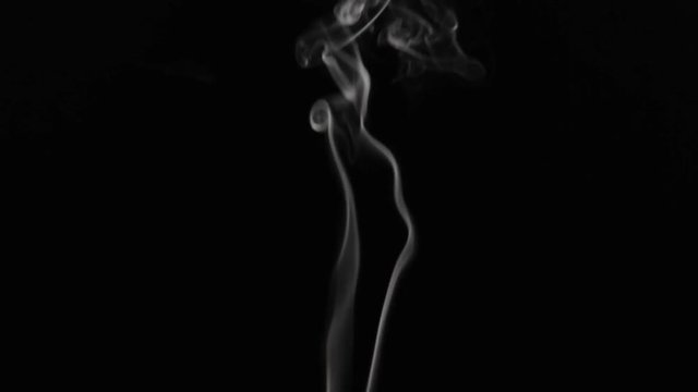 beautiful smoke movements