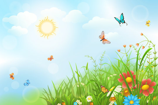 Summer sunny meadow with green grass, flowers and butterflies