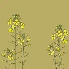 Gordijnen Bright, sunny flowering Brassica napus. Yellow Fields   © soul_romance