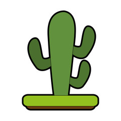 Cactus plant desert icon vector illustration graphic design
