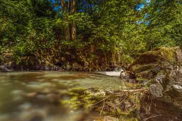 Perlbachtal Mitterfels / Bach /  Fluß