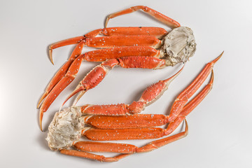 claw of a snow crab on a white background