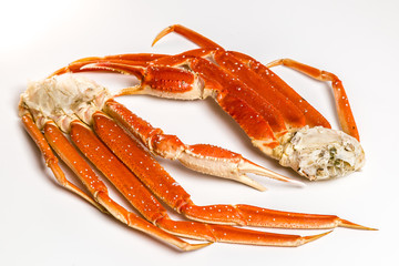 claw of a snow crab on a white background