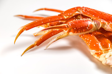 claw of a snow crab on a white background