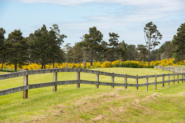 Fototapeta premium Country fence and trees