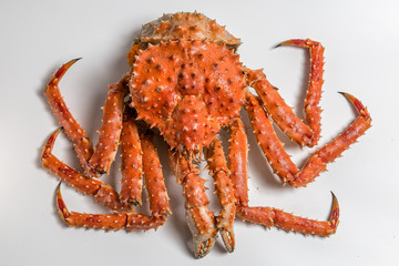 a king crab lies on a white background