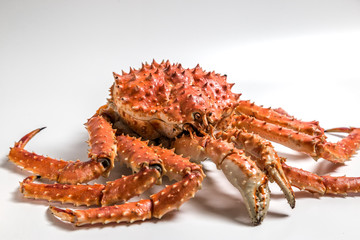a king crab lies on a white background