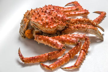 a king crab lies on a white background