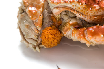 Kamchatka crab with caviar lies on white background