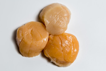 Scallop in shell lies on white background