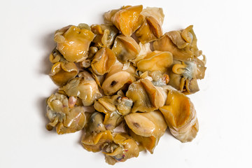 common whelk meat lies on a white background
