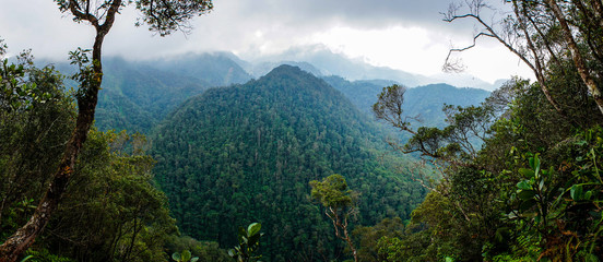 PANACAM National Park in Honduras. - obrazy, fototapety, plakaty