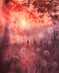 Handwork watercolor illustration. Dandelion at sunset. - 193455016