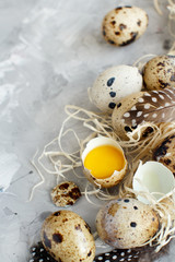 Quail eggs close up