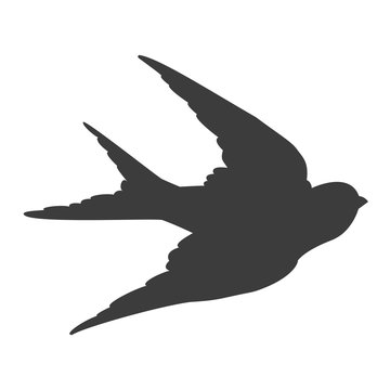 flying dark swallow silhouette on white clip art preview