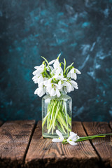 snowdrops on a blue background in a glass vase