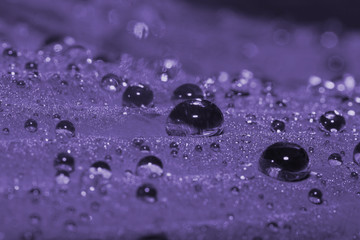 Morning dew (ultra violet)