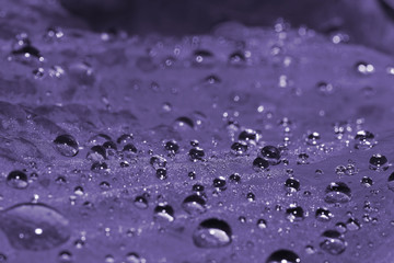 Morning dew (ultra violet)