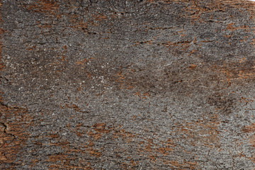 Close Up Background and Texture of Cork Board Wood Surface
