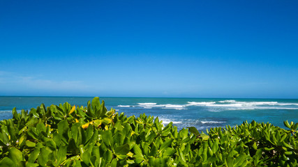 A clean view of the Atlantic Ocean from Puerto Plata, Dominican Republic