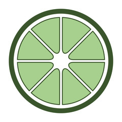 orange slice fresh and citrus fruit vector illustration design