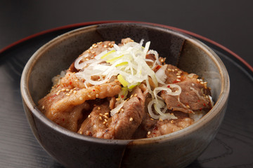 カルビ丼
