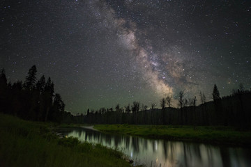 Big Hank Meadow