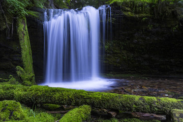 Fern Falls