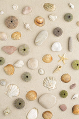Sea shells and star fish