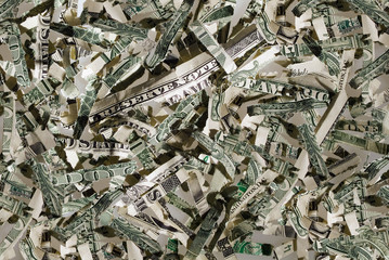 US currency in shreds